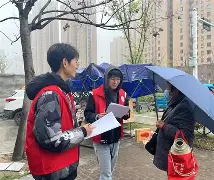 贝博体育 -社区盾今晚走向成谜，山东泰山扳平良机，悬念犹存，纪律约束更严格(社区盾直播在线观看)